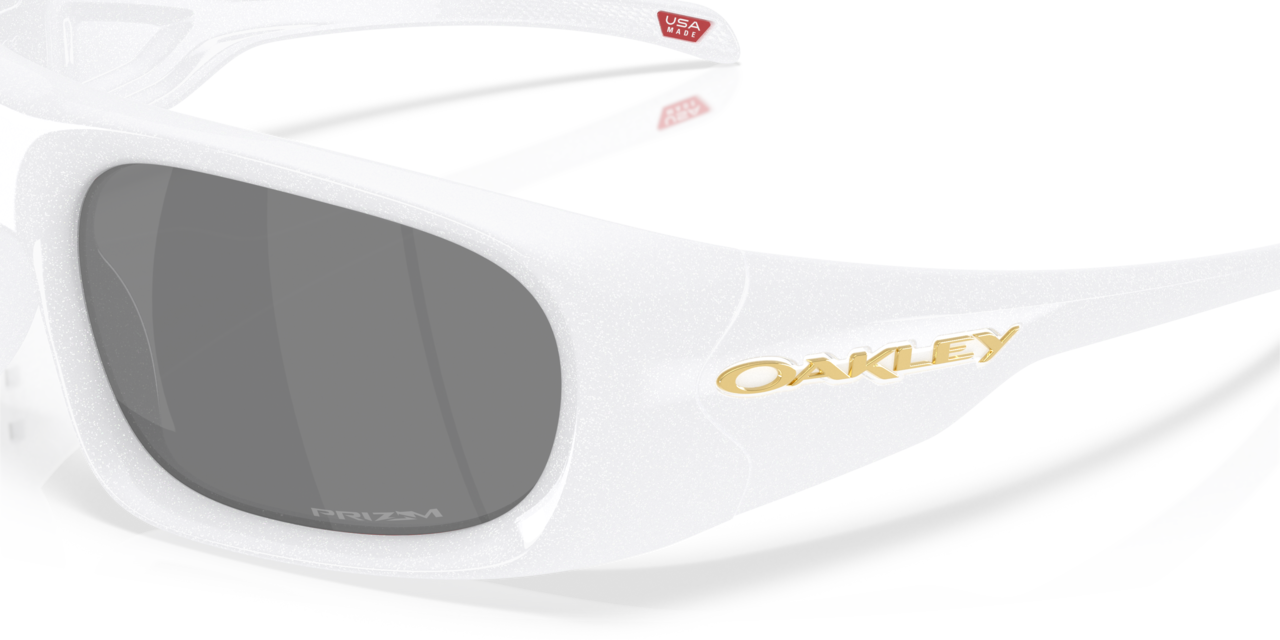Oakley HSTN Matte Carbon Prizm Tungsten