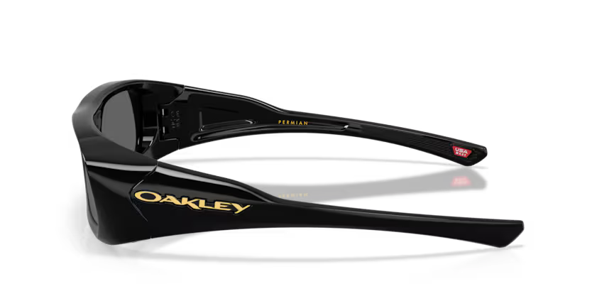 Oakley Permian 952001 Black Prizm Black