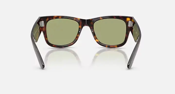 Oakley Holdbrook Black Frame Prizm Gray