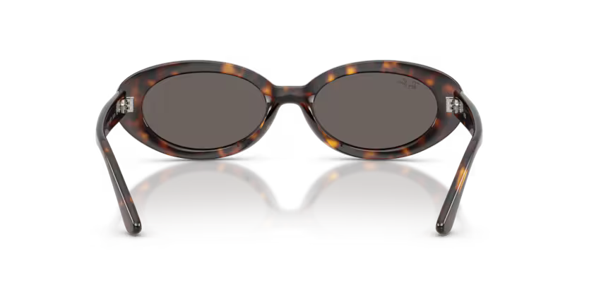 Ray-Ban RB2223 902/B1 54 Havana Dark Grey Güneş Gözlüğü