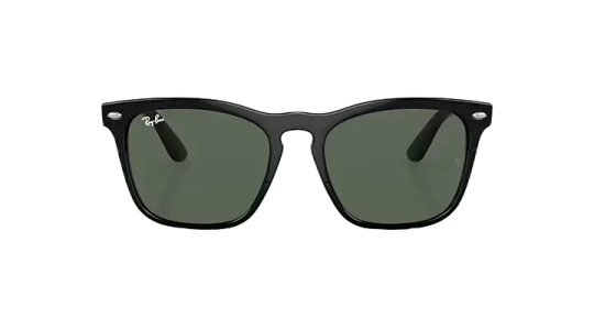 Ray-Ban Steve Güneş Gözlüğü 0RB4487 662971 54 Ekartman Black Dark Green