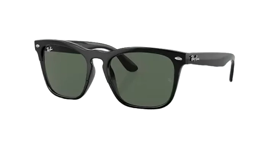 Ray-Ban Steve Güneş Gözlüğü 0RB4487 662971 54 Ekartman Black Dark Green