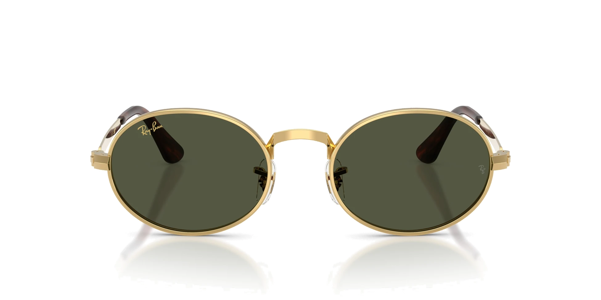 Ray-Ban 3931 001/31 54 Güneş Gözlüğü