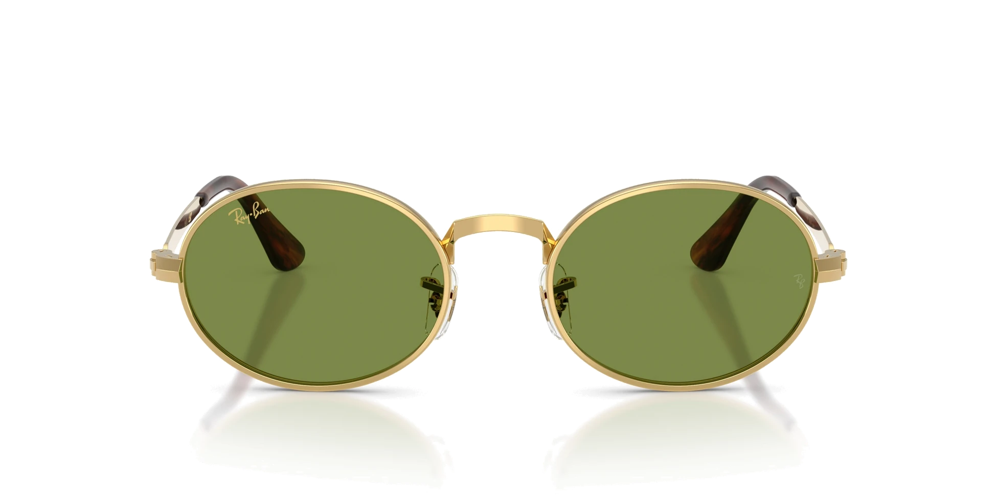 Oakley Holdbrook Black Frame Prizm Gray