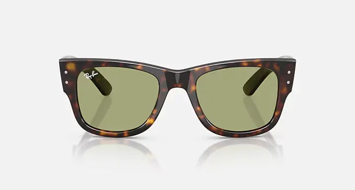Oakley Holdbrook Black Frame Prizm Gray